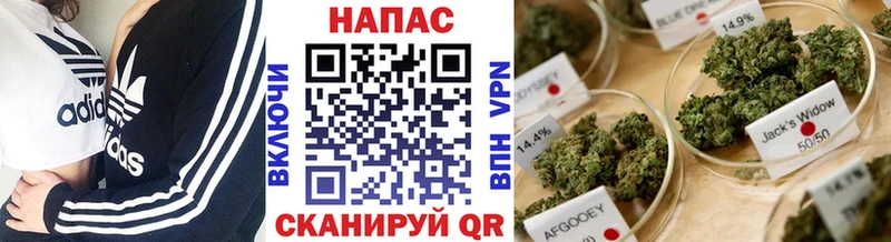 Бошки марихуана MAZAR Инта